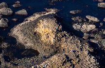 Shore Excursion from Belfast: Including Giants Causeway and Belfast City.