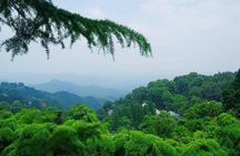Plog and Hike Mount Mogan Nature Reserve – Guided Outdoor Tour from Hangzhou