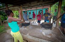 Half Day Safari Tour of Punta Cana