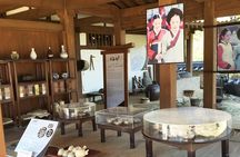 Private day trip to Korean Folk Village & Dae Jang Geum Park
