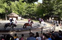 Private day trip to Korean Folk Village & Dae Jang Geum Park