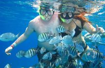 Cozumel Coral Reef Snorkeling by Glass Bottom Boat with Guide