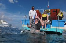 Cozumel Coral Reef Snorkeling by Glass Bottom Boat with Guide