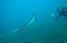 Discover Scuba Diving