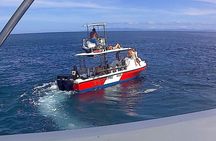 Open Water Diver Certification OWD