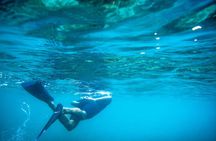 Los Cabos Snorkeling Tour to Chileno Bay and Santa Maria Cove