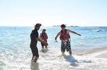 Los Cabos Snorkeling Tour to Chileno Bay and Santa Maria Cove