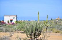 Private Todos Santos Jeep