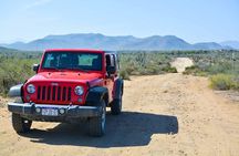 Private Todos Santos Jeep