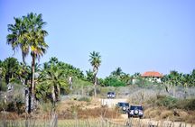 Private Baja Jeep 4x4 Adventure Tour