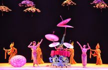 Beijing Acrobatic Show with Peking Duck Dinner Private Tour