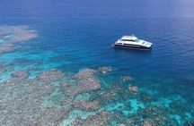 Calypso Outer Great Barrier Reef Cruise from Port Douglas