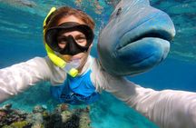 Calypso Outer Great Barrier Reef Cruise from Port Douglas