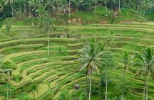 Private Shore Excursion: Highlights of Bali