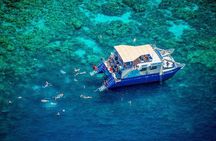 Kona’s Best Morning Snorkel: Captain Cook & Kealakekua Bay