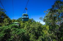 Classic Kuranda by Skyrail and Scenic Railway, Rainforestation & lunch. CKB