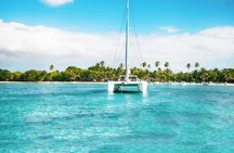 Saona Island Day Trip From Punta Cana with Lunch and Open Bar