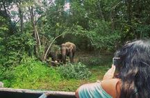 Private Dambulla Sigiriya Tour from Kandy with Lunch