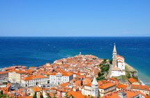 Lipica stud farm and Piran Tour from Ljubljana