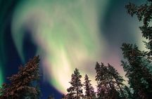 Autumn Aurora Borealis Picnic in Rovaniemi 