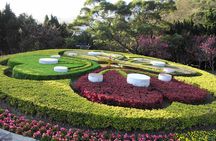 Yangmingshan National Park & Hot Spring Tour (afternoon )