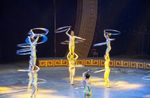 Zhujiajiao Private Day Tour and Shanghai Acrobatic Show