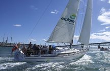 Auckland Harbour Sailing Experience