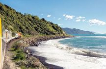 Kaikoura Whale Watch Day Tour from Christchurch including Coastal Pacific Train