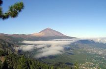 Teide essential Shore Excursion VIP TOUR
