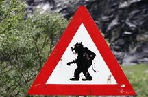 Alesund Shore Excursion: From Fjords to Trolls