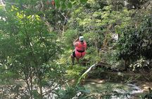 Falls Flyer Zipline and Dunn's River Falls Adventure Tour from Kingston