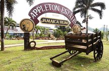 Appleton Estate Rum Tour and Tasting from Runaway Bay