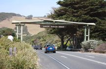 Private Great Ocean Road Day Trip from Melbourne