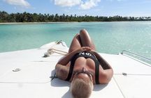 Saona Island Day Trip and Cruise from Punta Cana 
