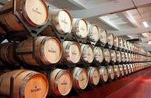 Full-Day Shabo Wine Culture Center Private Tour in Odessa