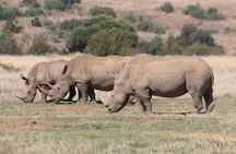 Pilanesberg Nature Reserve