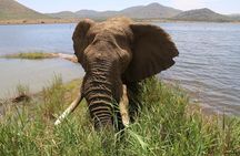 Pilanesberg Nature Reserve