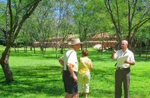 Tehuacalco Fascinating Archaeological Site Just 60 Minutes Away!