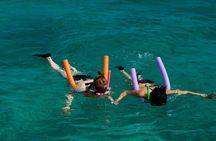 Shallow Water Snorkeling and Dolphin Watching in Key West