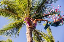 Paradise Cove Luau