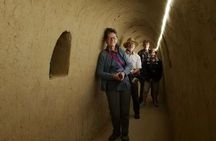 Folk Custom Xi'an Tour to Cave Dwelling Village and Jingdi Tomb