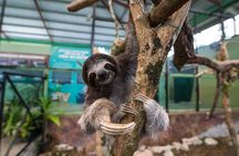 Gamboa Rainforest Experience From Panama City