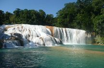 Palenque Site, swim Agua Azul & Misol-Ha waterfalls from Palenque