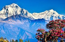 Ghorepani Poonhill Trek -8 Days