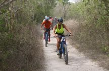 Bayahibe E-Bike Tour