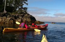 Ketchikan Kayak Eco-Tour