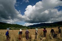 5 Days- Bhutan Cultural Tour