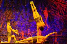 Beijing Roast Duck Dining & Acrobatic Show w/ Transfer