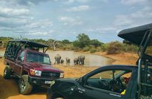 Private Day Tour: Yala National Park Safari Tour from Galle & Weligama