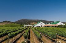 Half Day Trip to Casas del Bosque Vineyard from Santiago - Wine Tasting Included